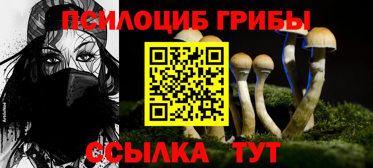 Псилоцибиновые грибы Cubensis  Вход с VPN  Ирбит 